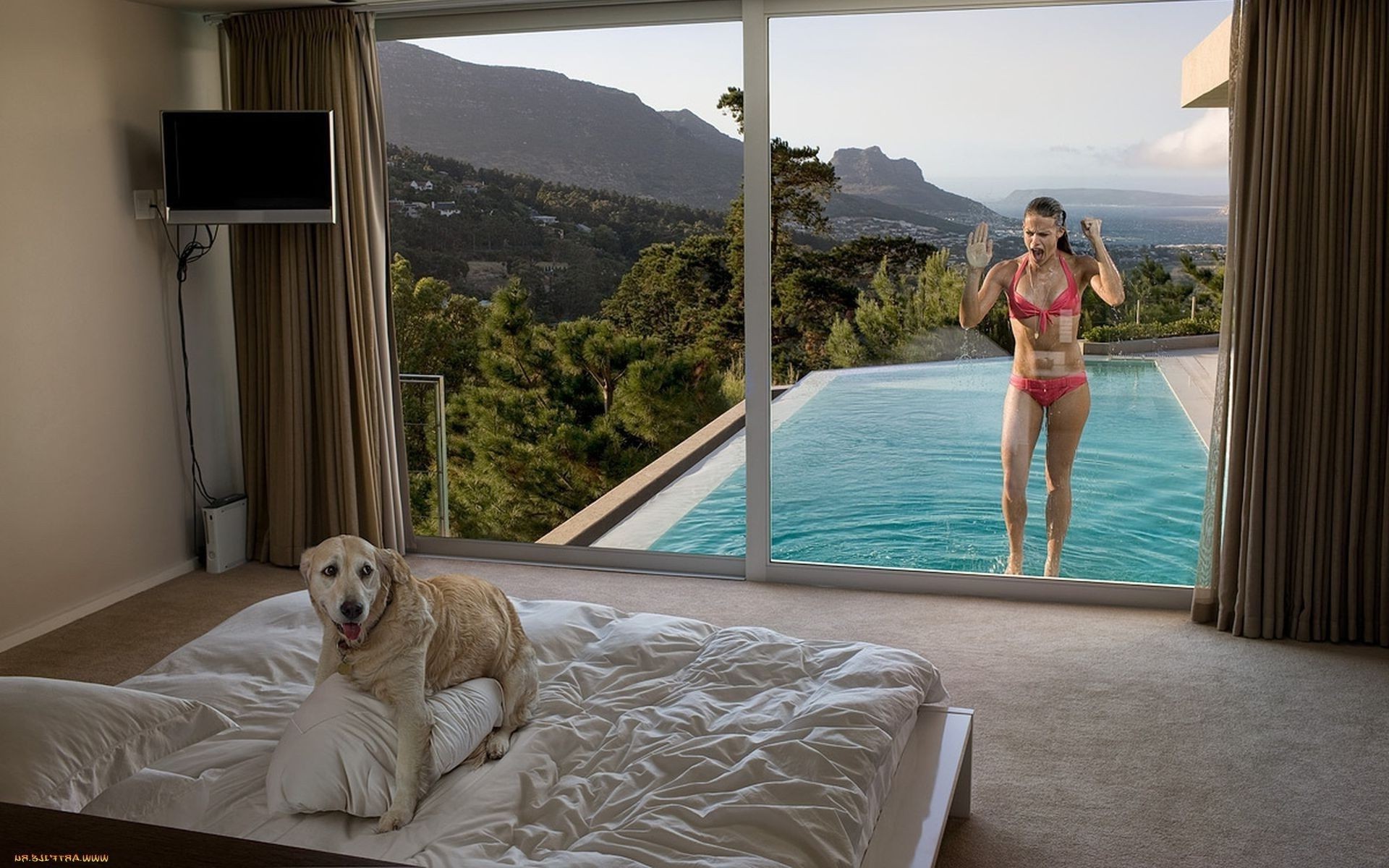 animais janela menina água viagens mulher dentro de casa sol praia mar hotel quarto céu verão relaxamento férias retrato bom tempo oceano solteiro