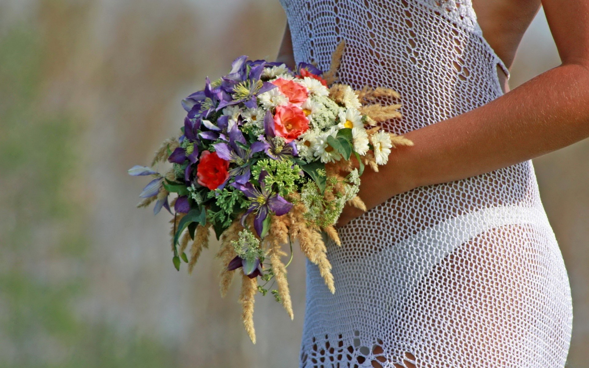 herzen blume im freien natur sommer