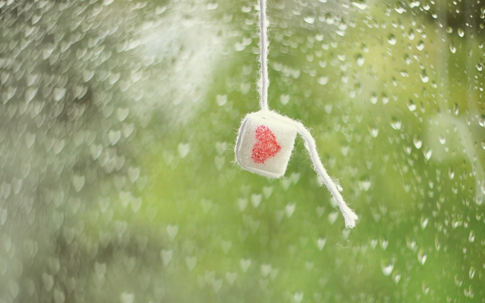 cuori inverno acqua neve natale bagnato caduta natura freddo sfocatura cibo pioggia