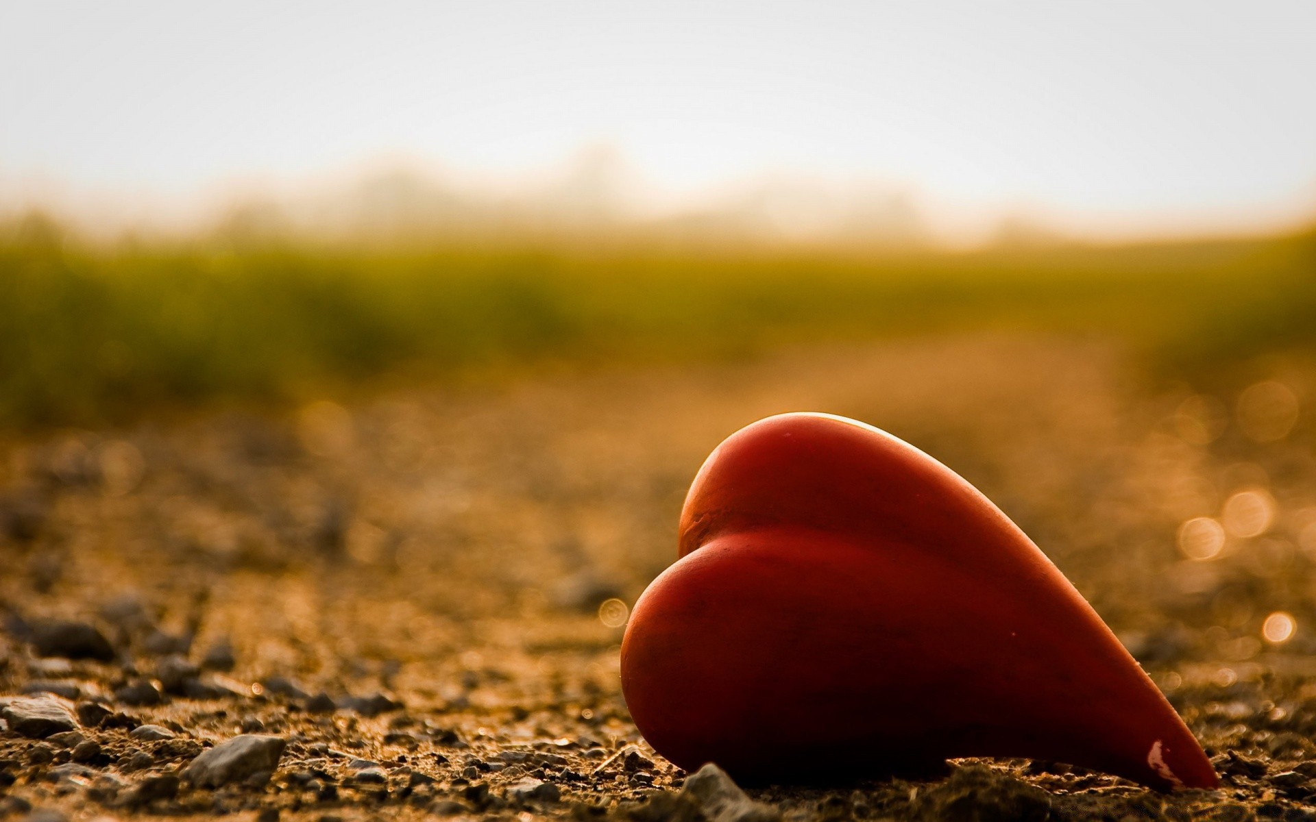 corazones naturaleza puesta de sol playa al aire libre campo paisaje sol hierba tierra verano buen tiempo