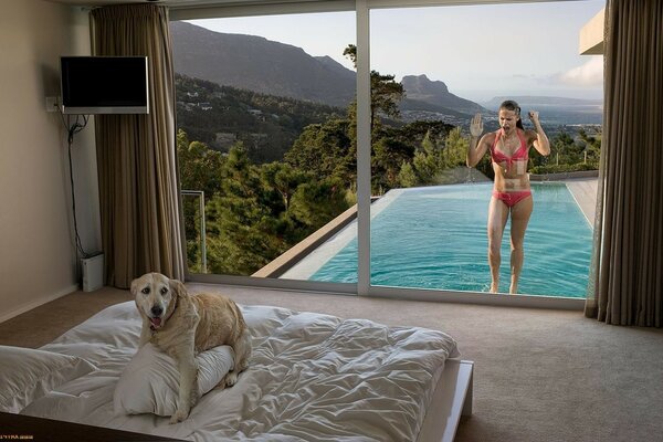 Perro en la habitación en la cama y la chica que no le gusta