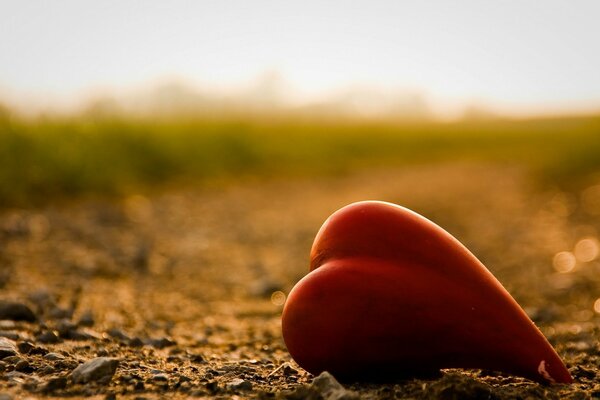 Coeur sur la route dans la nature