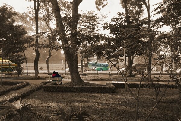 Couple on a park bench