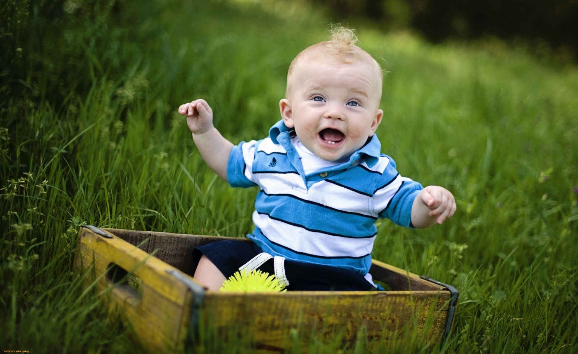 enfants qui rient enfant herbe peu mignon plaisir nature en plein air été loisirs joie parc s asseoir foin enfant plaisir