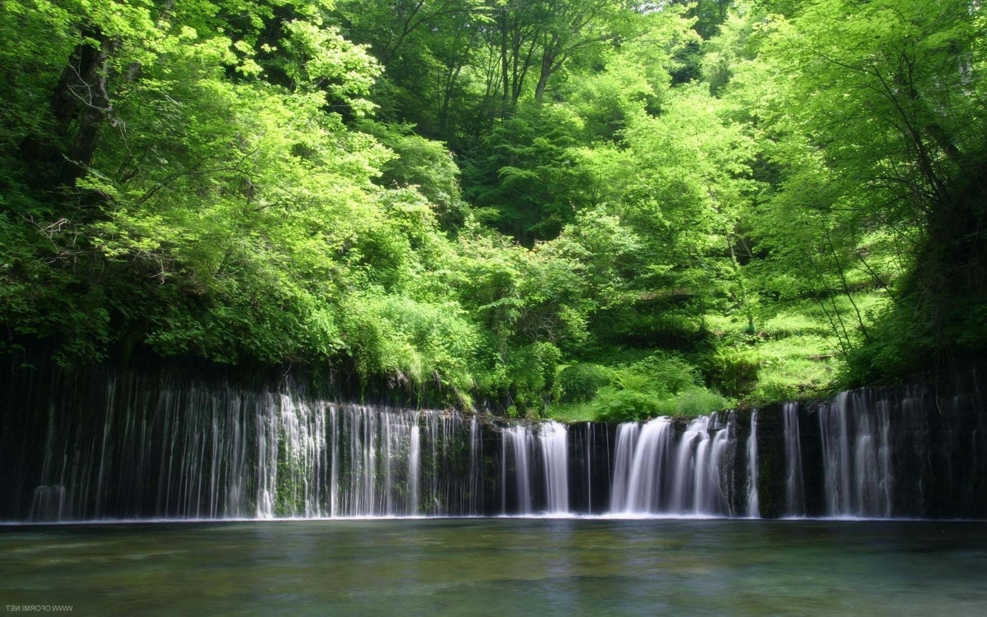 cascate acqua legno natura fiume cascata foglia albero flusso paesaggio parco ambiente lussureggiante estate all aperto viaggi bagnato cascata autunno scenic