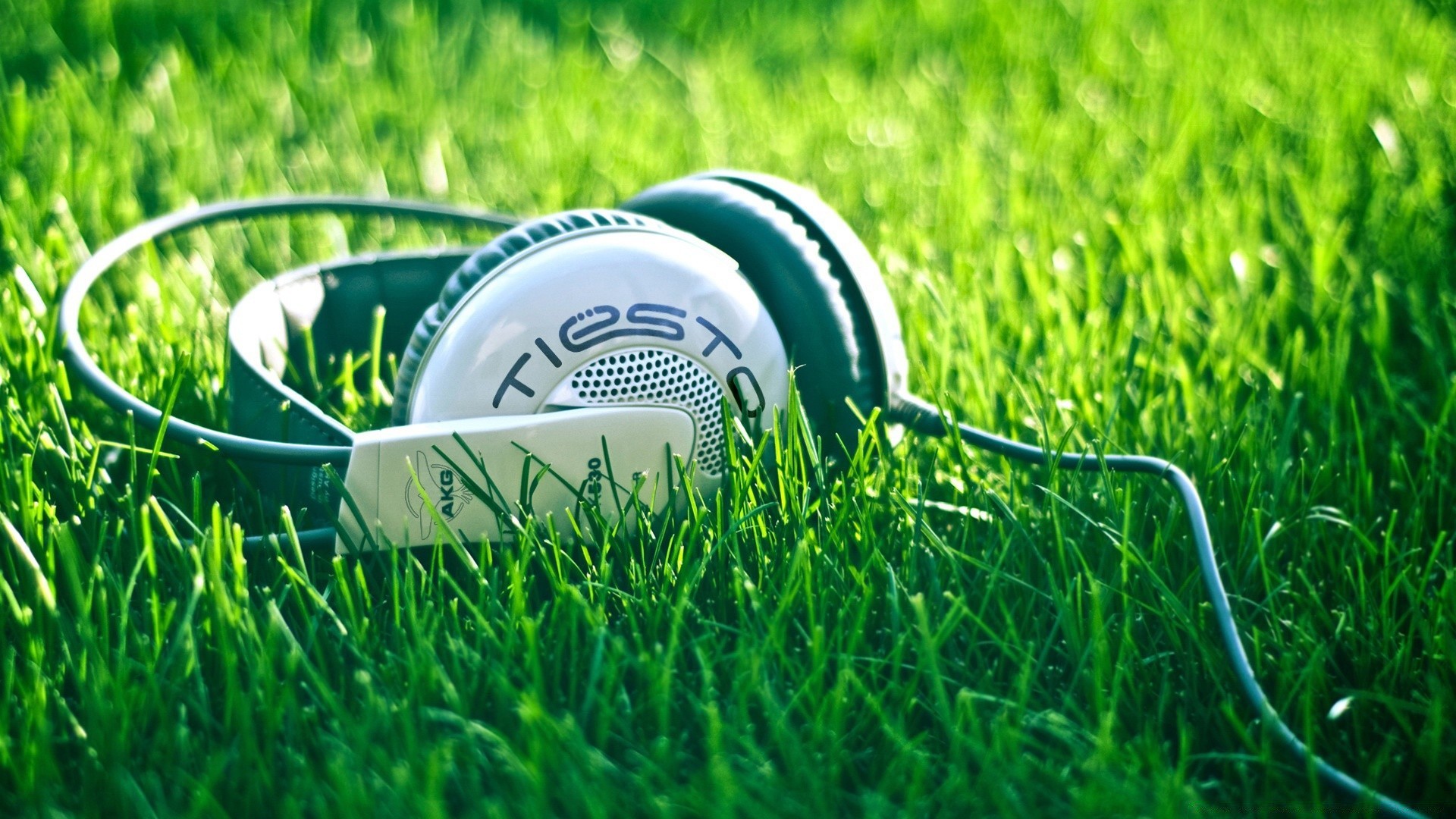 música hierba golf césped campo verano heno ocio naturaleza tierra césped al aire libre pelota tee curso deportes