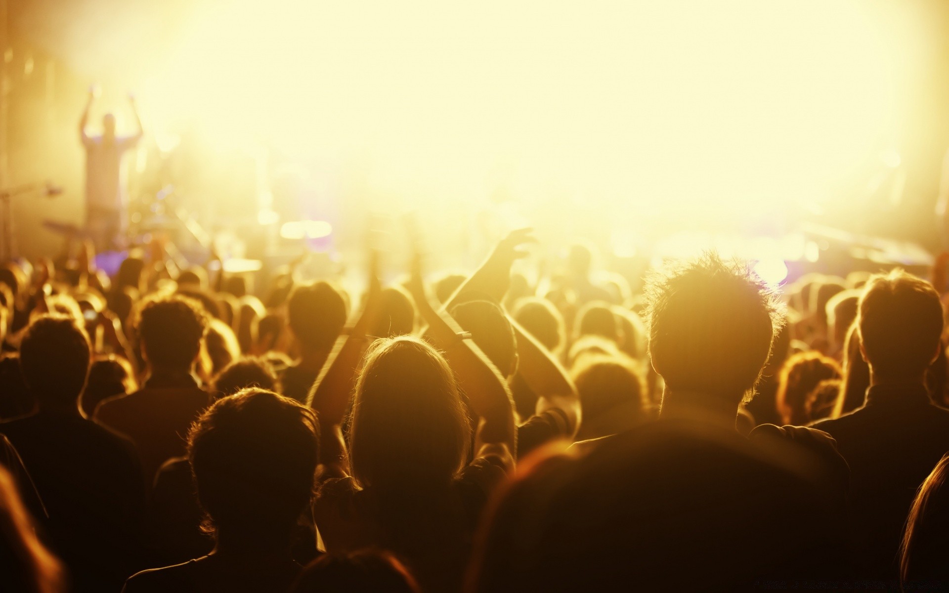 music blur concert crowd sunset audience party dancing light sun flame group celebration festival club