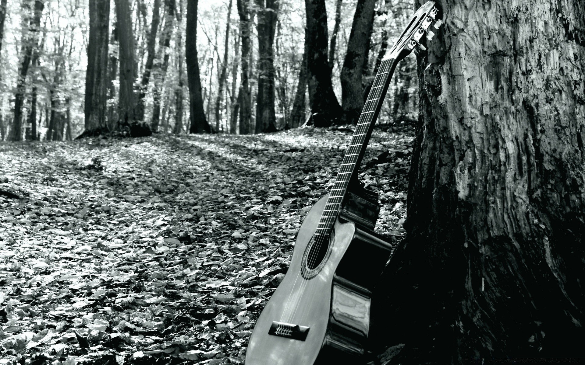 musik holz holz ein im freien park monochrom auto natur landschaft transportsystem