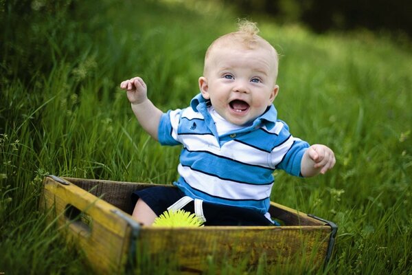 Il bambino che ride si siede in una scatola