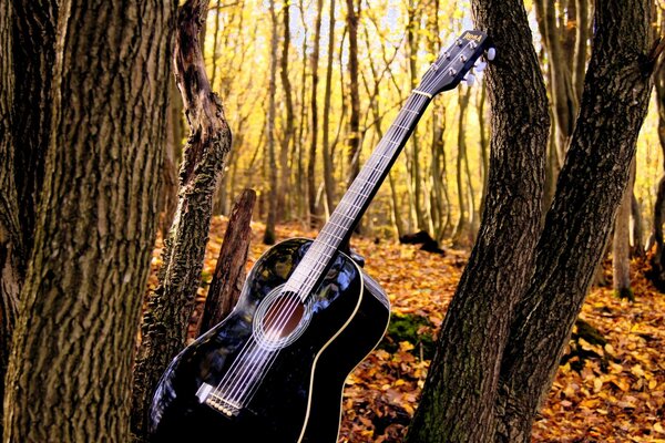 Herbstmusik im Freien