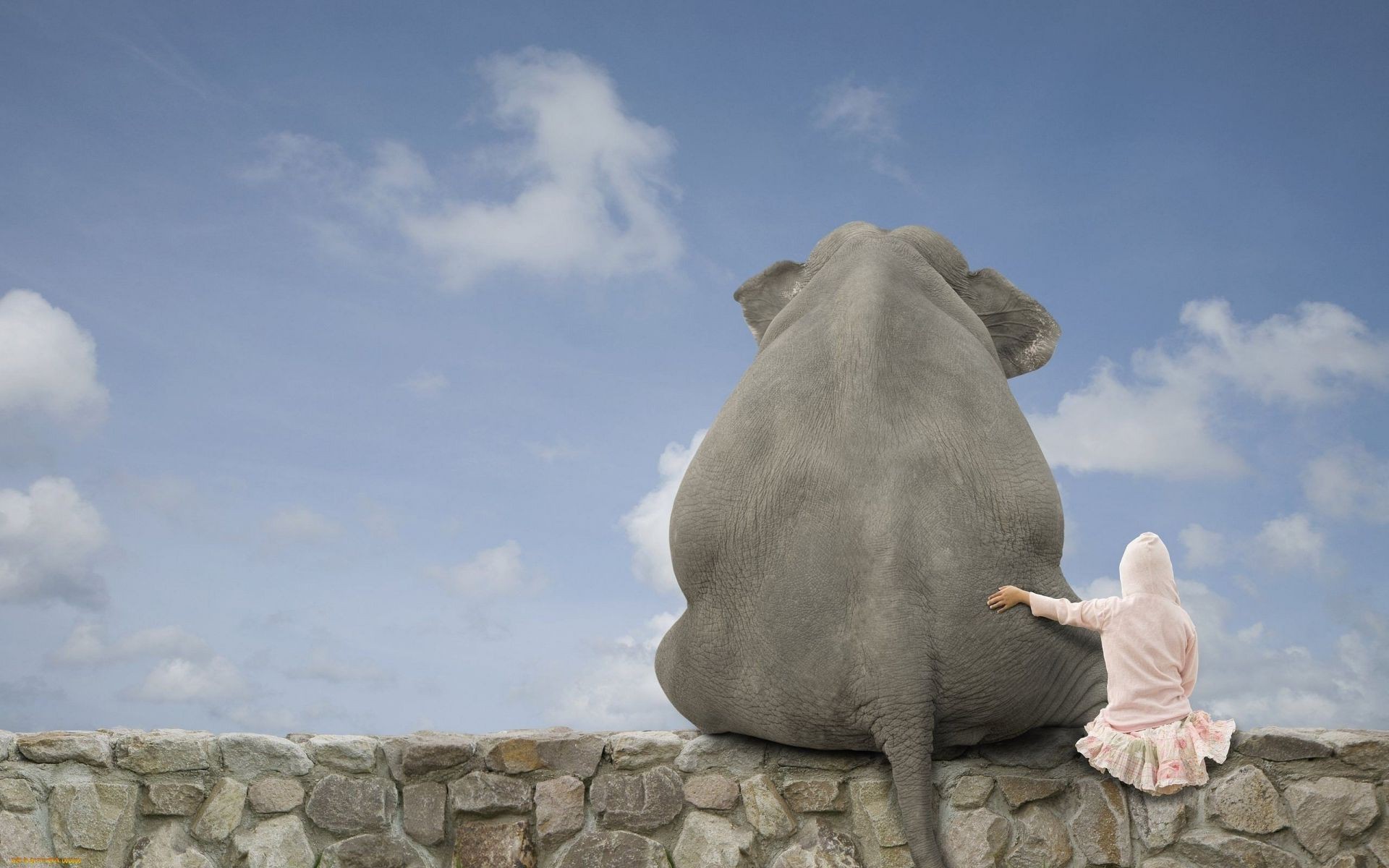 tiere himmel reisen im freien rock natur landschaft stein skulptur