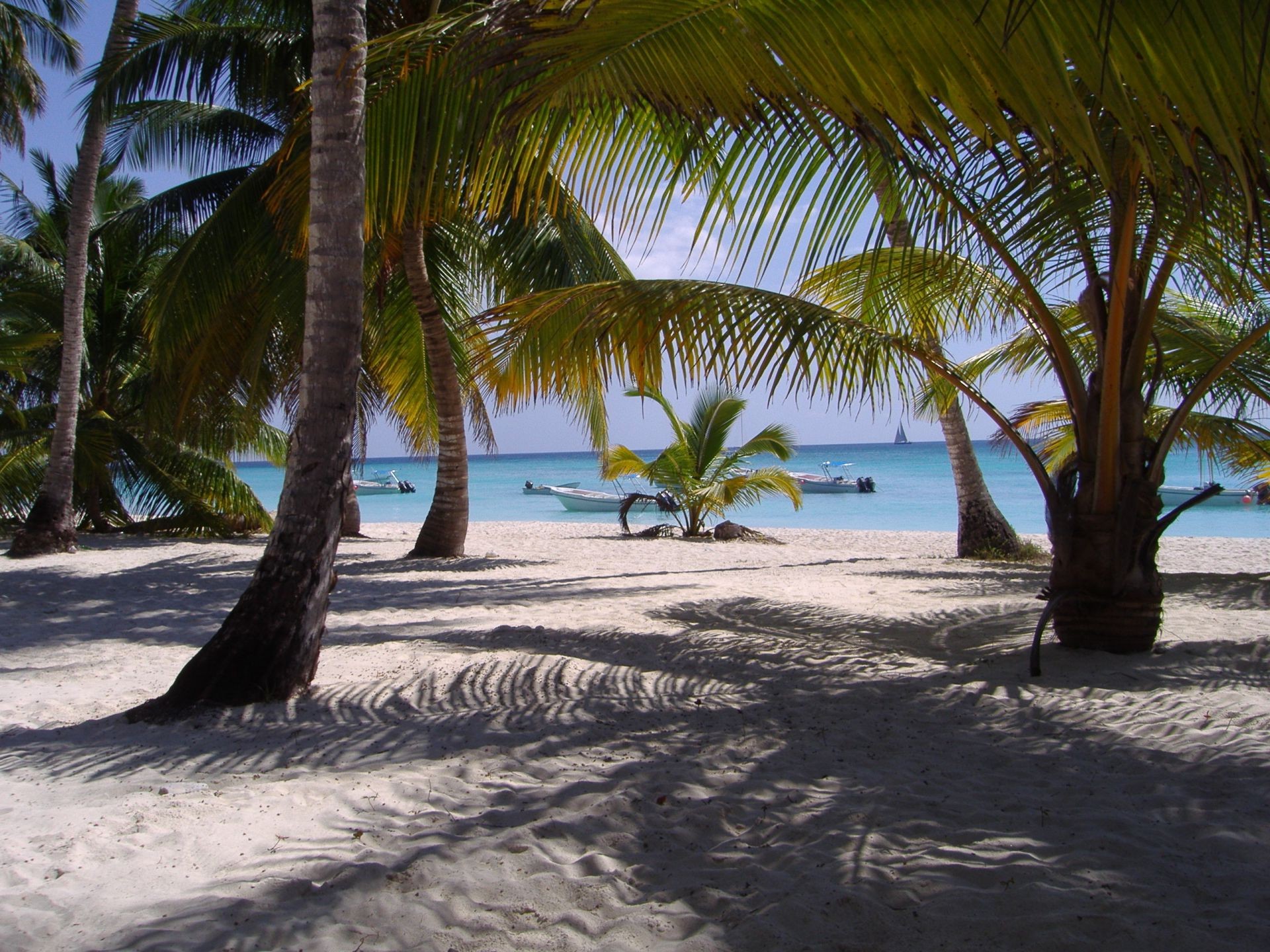 mer et océan plage sable tropical mer océan palm île vacances eau voyage détente soleil station balnéaire été paysage exotique mer paradis idylle