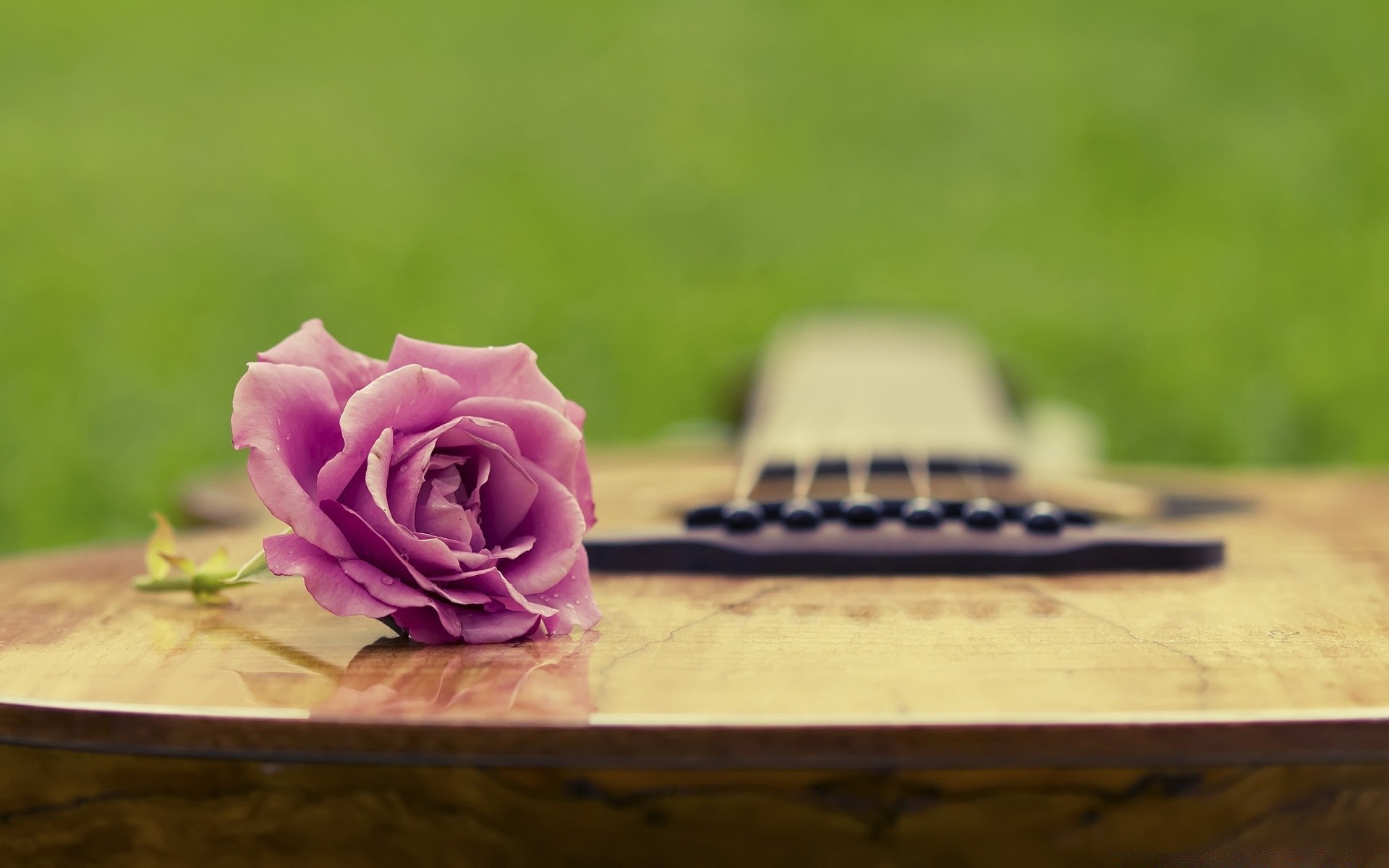 música flor naturaleza tabla verano naturaleza muerta madera boda romance desenfoque relajación amor rosa romántico al aire libre