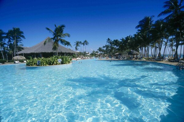 Piscina com palmeiras e cabanas do hotel