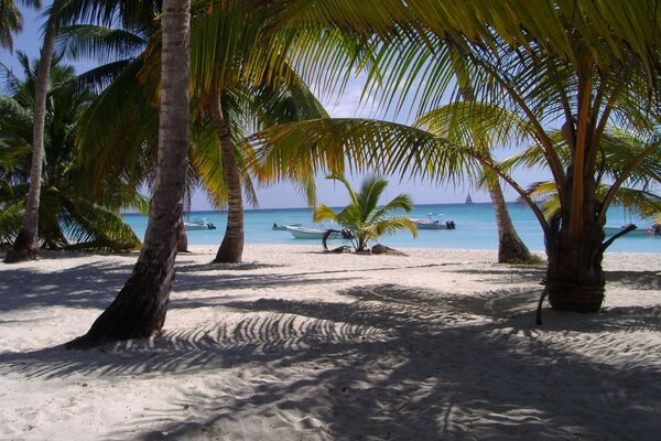 Un paraíso de isla tropical con playa de arena y palmeras