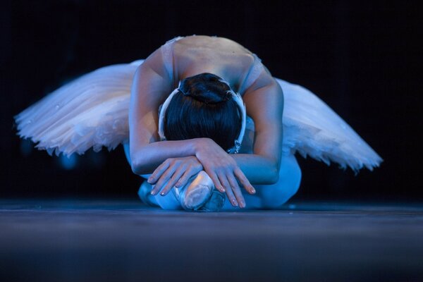 Mujer en ballet en el escenario cisne pose