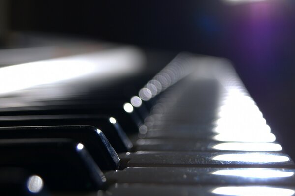 Monochrome grand piano with black and white keys