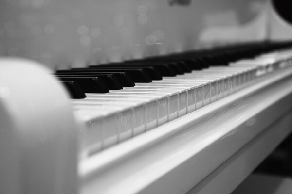 Macro photo of a black and white piano