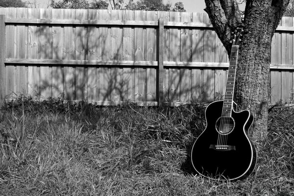 Neben einem Baum steht eine Gitarre