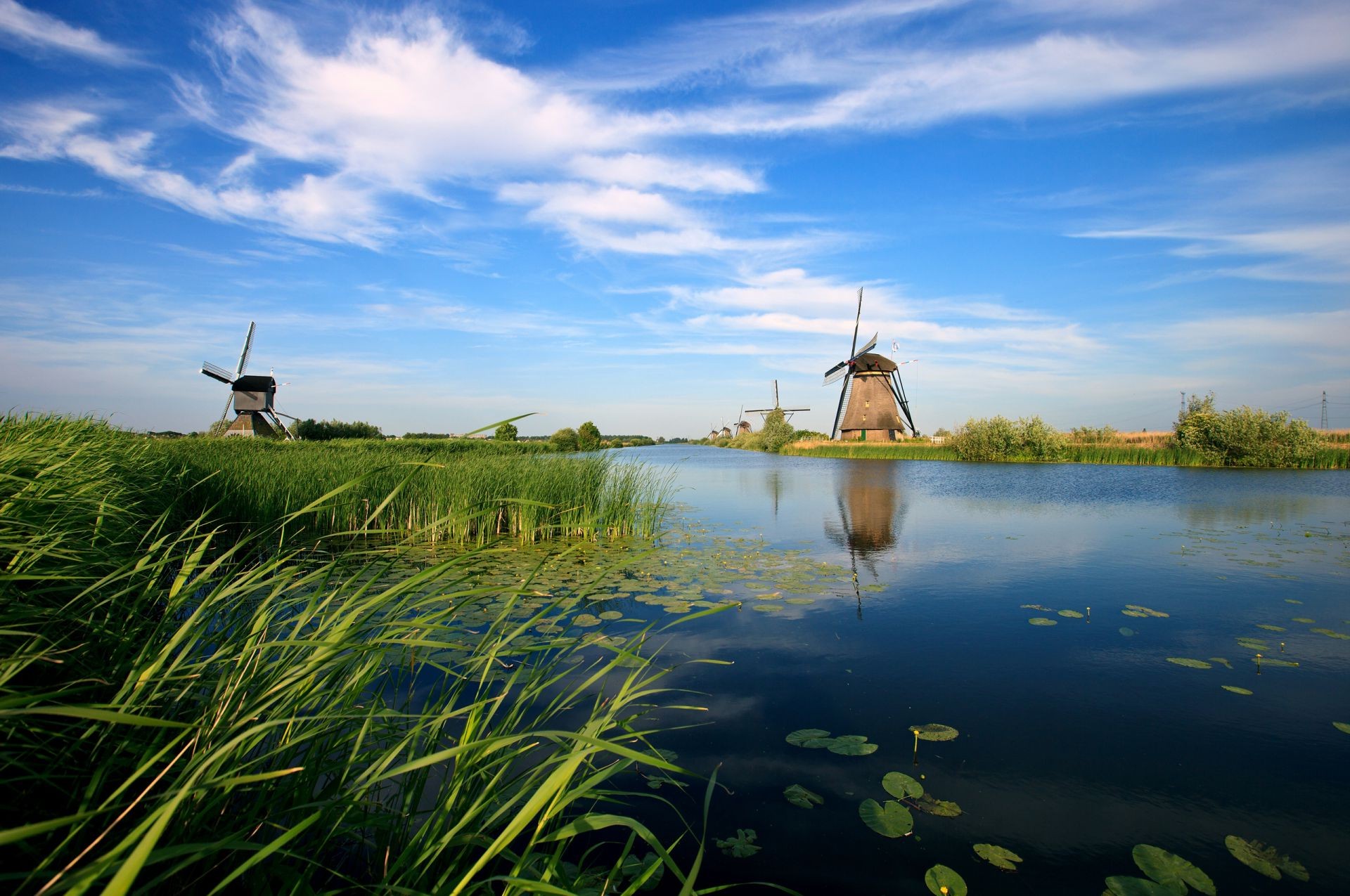 rivers ponds and streams water grass nature summer reed landscape lake sky windmill farm rural outdoors agriculture reflection field countryside cloud river marsh