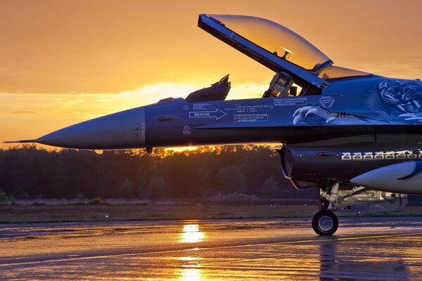 Aviation of Russia. Combat aircraft