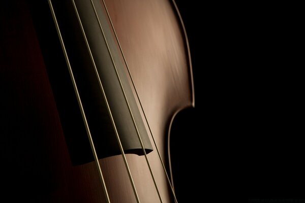 Musical instrument on a dark background