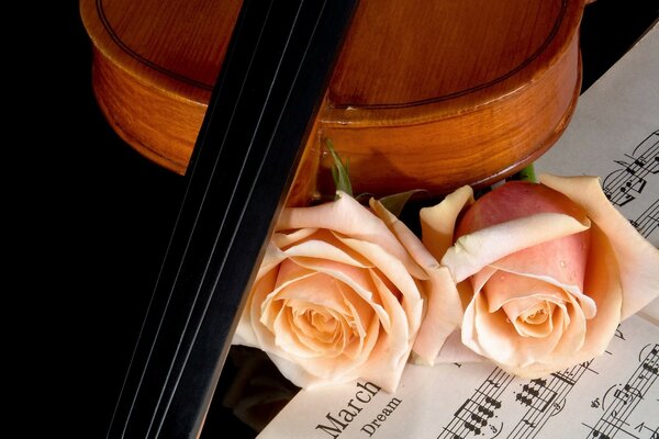 Armonia di musica classica e belle rose