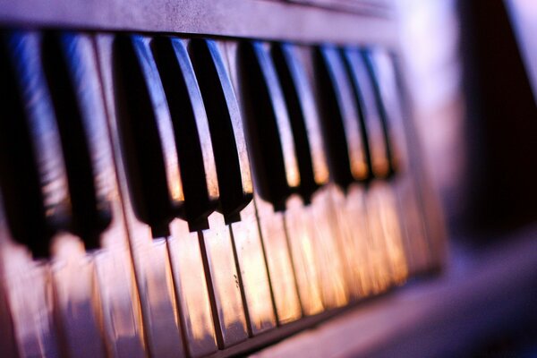 Instrument de musique sur fond. piano