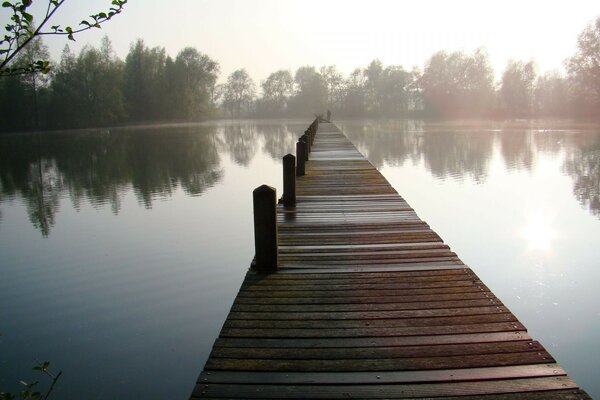 Brücke über einen ruhigen See, Reflexion von Bäumen in ruhigem Wasser