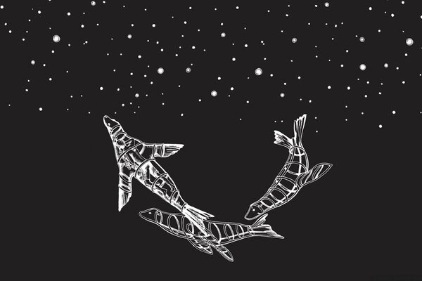 Black dolphins in the starry sky