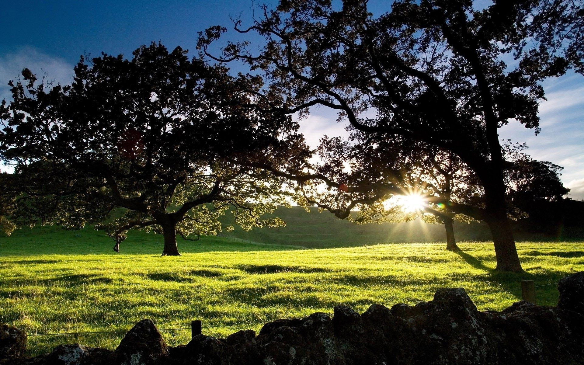 tramonto e alba paesaggio albero erba natura sole all aperto campo fieno bel tempo estate campagna rurale alba cielo parco