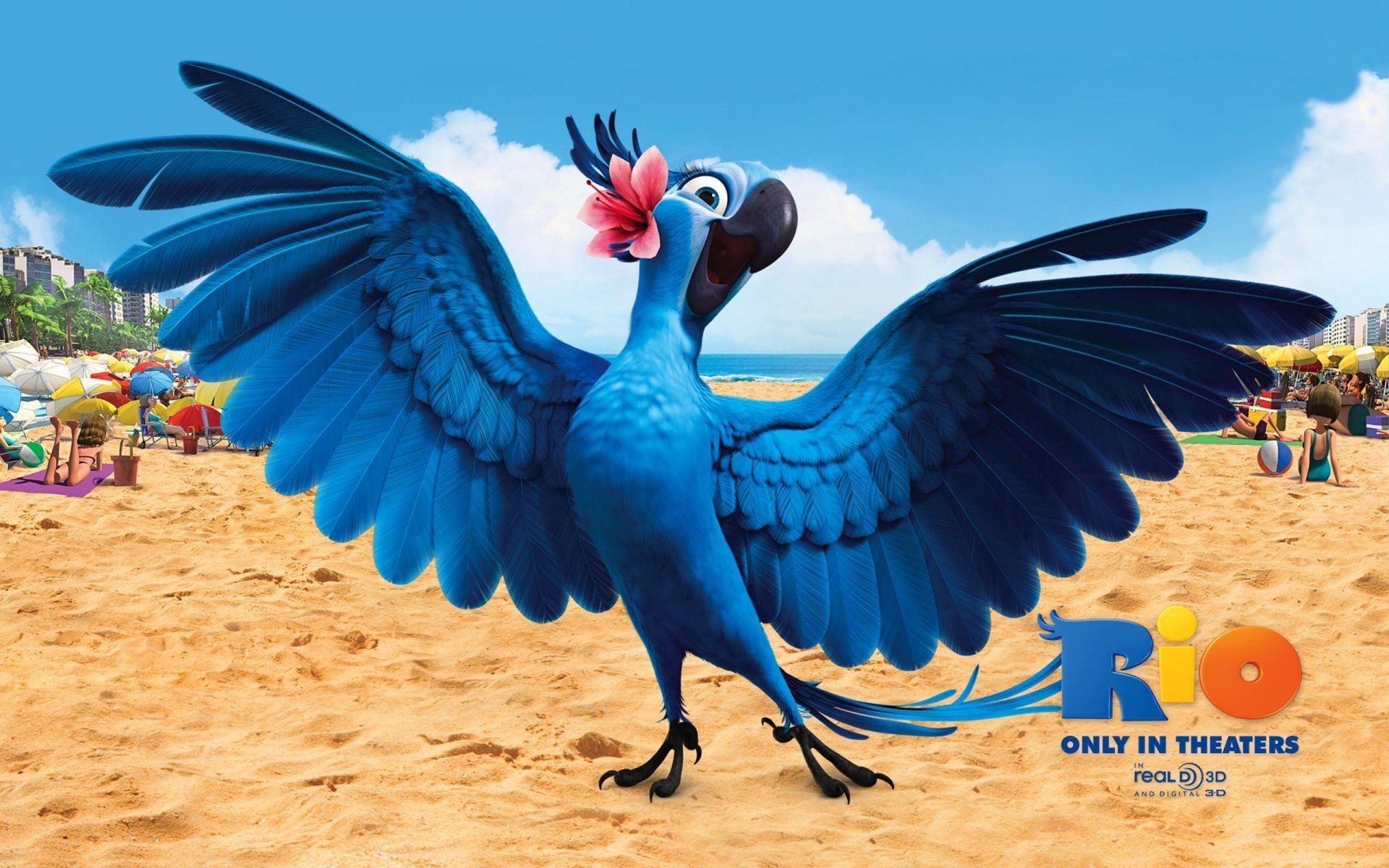 foreign cartoons nature tropical bird outdoors sky wildlife exotic sand