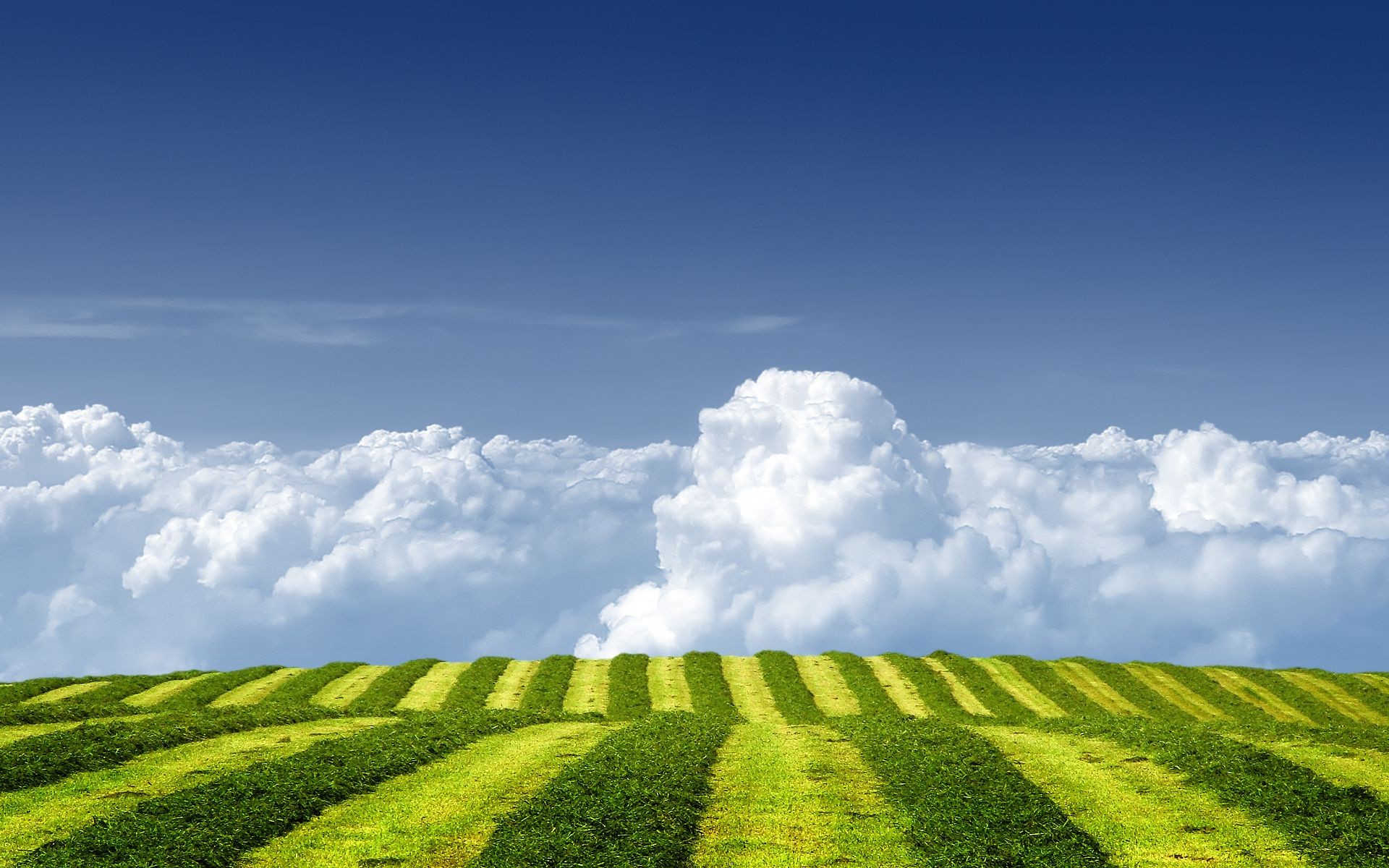 felder wiesen und täler des ländlichen raums natur landschaft feld gras landschaft landwirtschaft weide himmel sommer wachstum ackerland im freien bauernhof boden gutes wetter wolke land heuhaufen