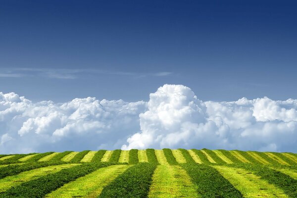 Fields, meadows and valleys of the countryside