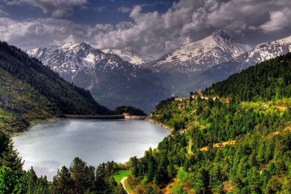 Blauer Bergsee. Wald