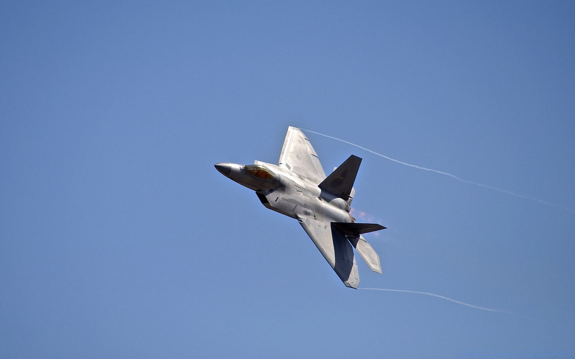 aviação voo avião avião ar pássaro céu asa avião voar militar vida selvagem