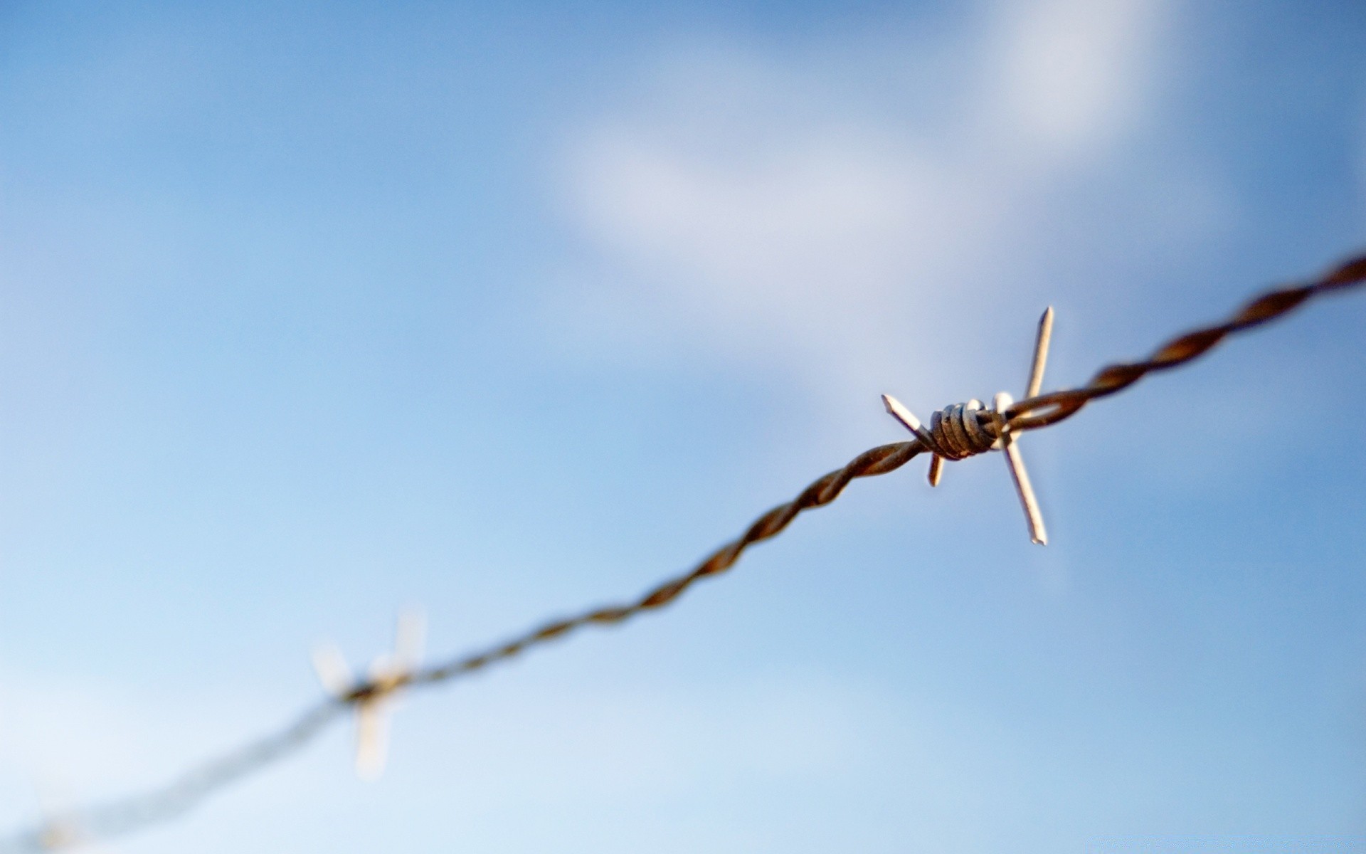 armes et armée fil de fer barbelé ciel clôture fil vol liberté nature à l extérieur avion sécurité prison ciel bleu sharp rasoir