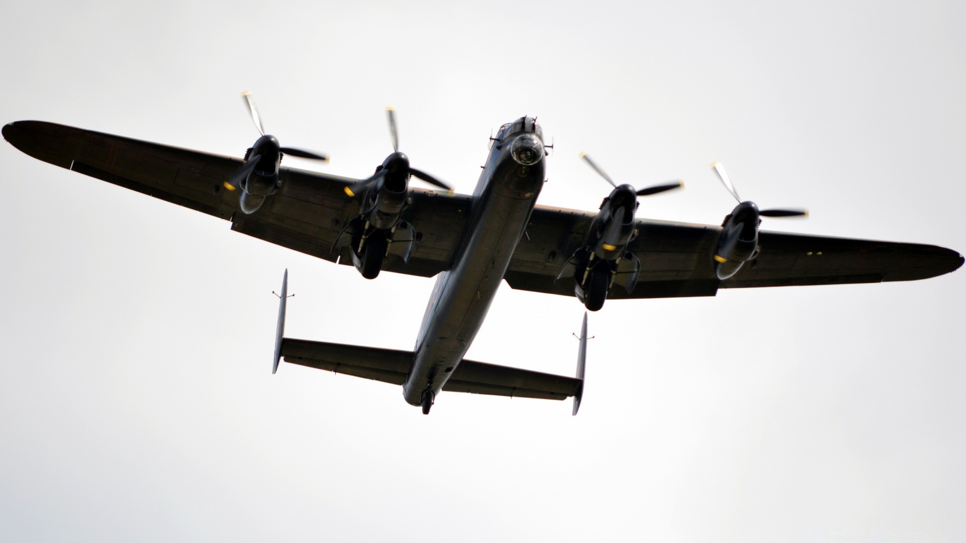 aviazione aereo aereo militare aria volo aeroporto volare aereo air force auto elica precisione sistema di trasporto marina combattente cielo bombardiere elicottero velocità