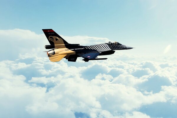 Modern fighter plane above the clouds