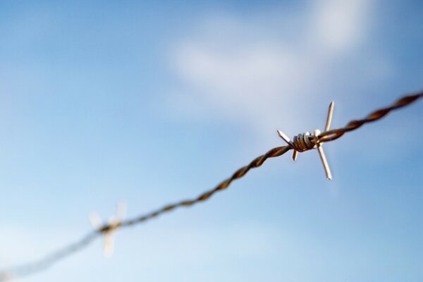 Stacheldraht auf blauem Himmel Hintergrund