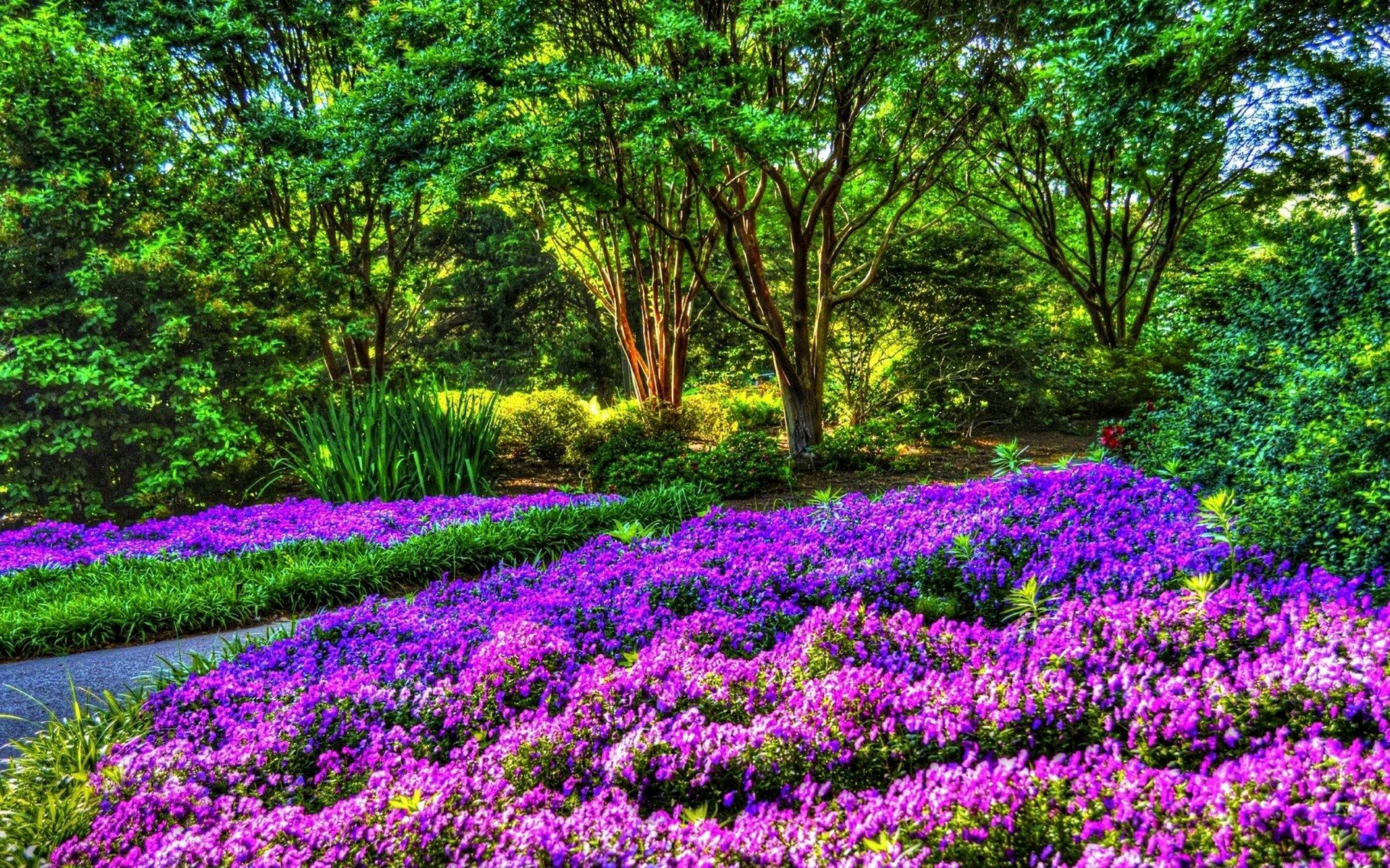 vintage çiçek doğa bahçe flora manzara park yaprak ahşap çiçeklenme sezon saman biçme makinesi ağaç çimen çiçek yaz renk açık havada çevre alan dışarıda