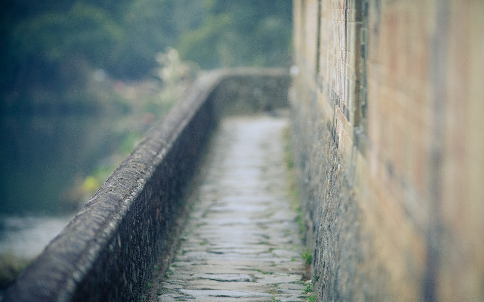 vintage nature wood landscape water blur bridge outdoors rain fall fog road travel guidance light