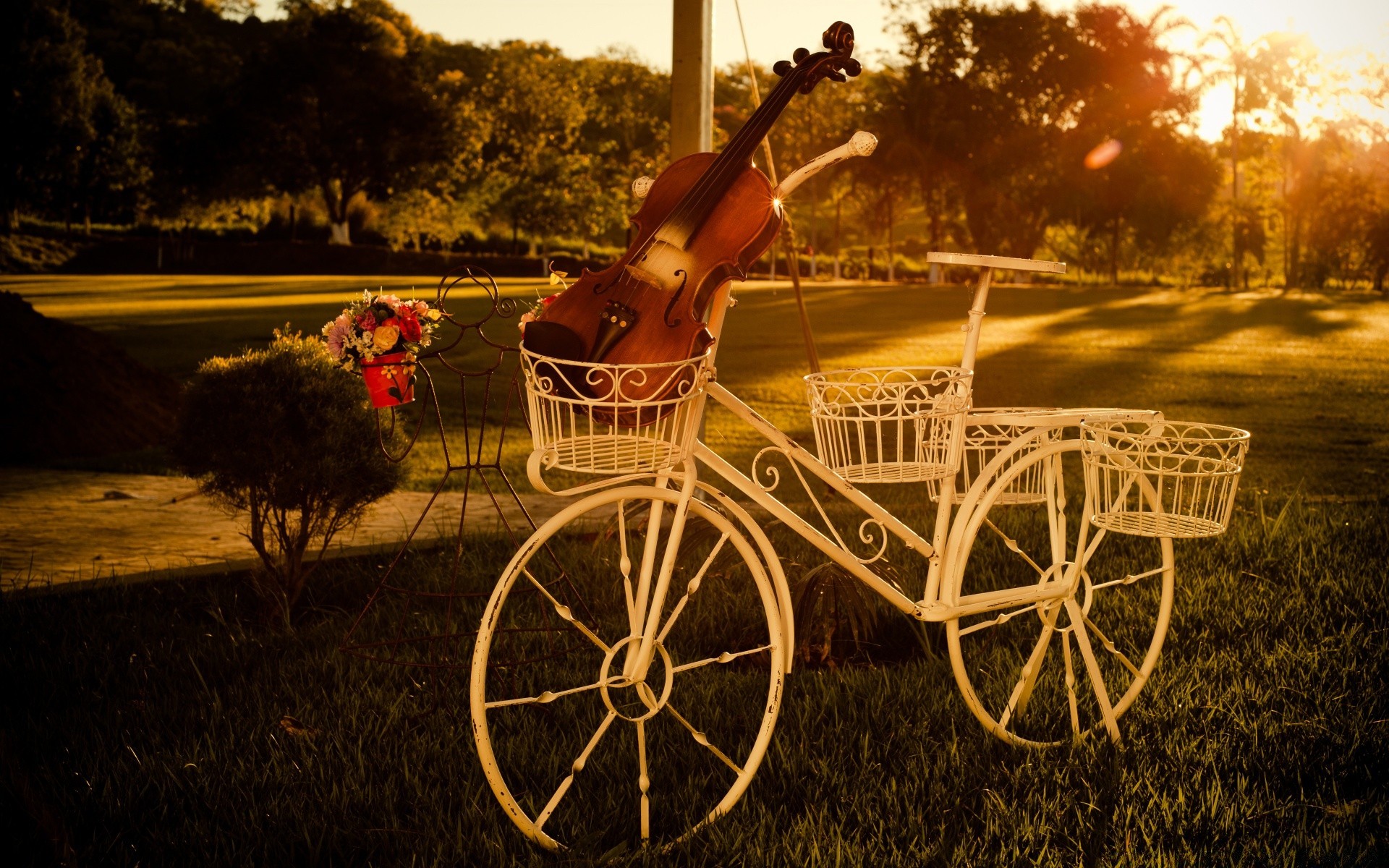 vintage roue en plein air bois herbe bois coucher de soleil voiture système de transport