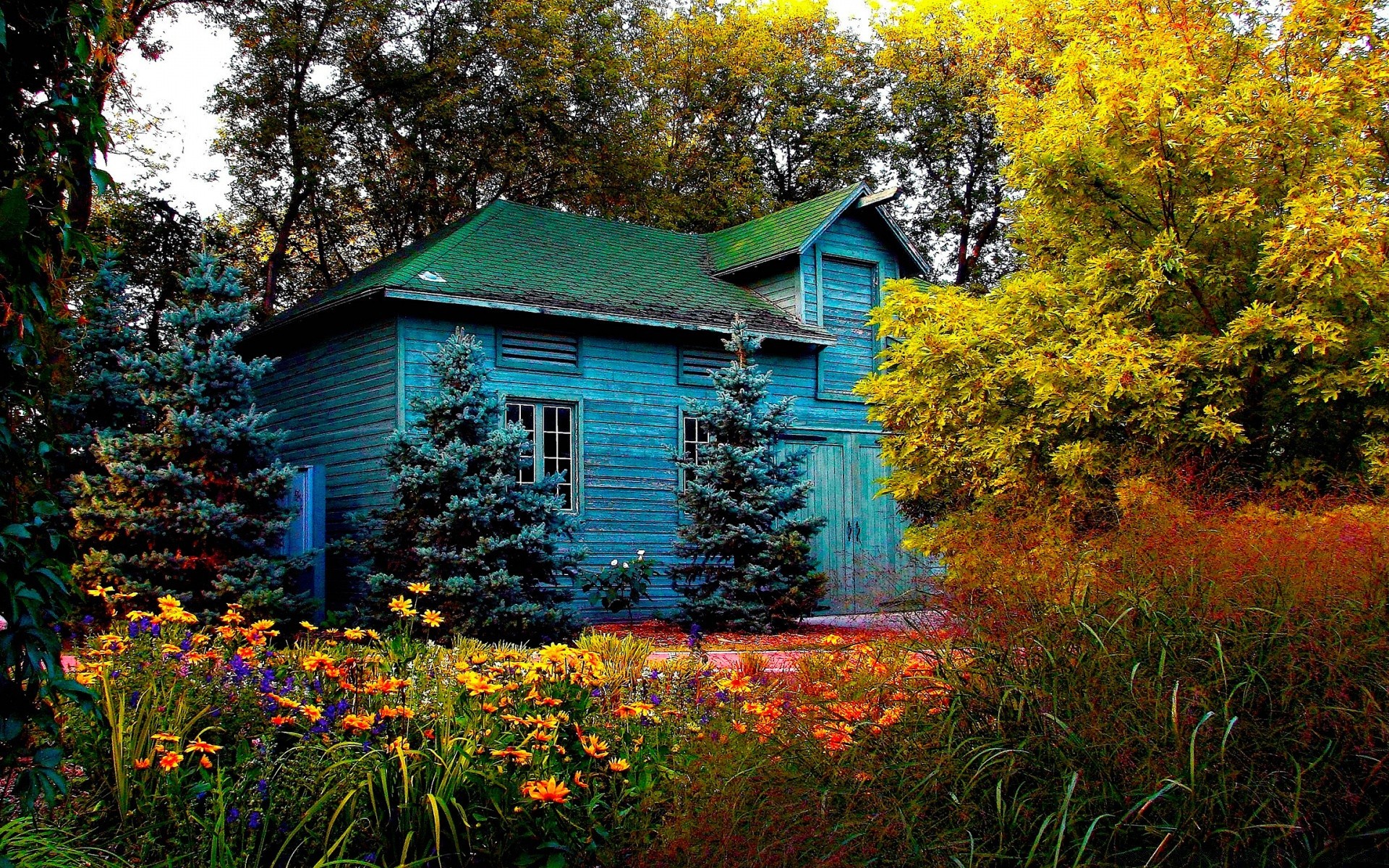 vintage bois maison arbre automne à l extérieur nature famille feuille couleur maison