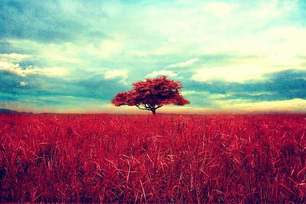 Ein einsamer Baum im roten Gras