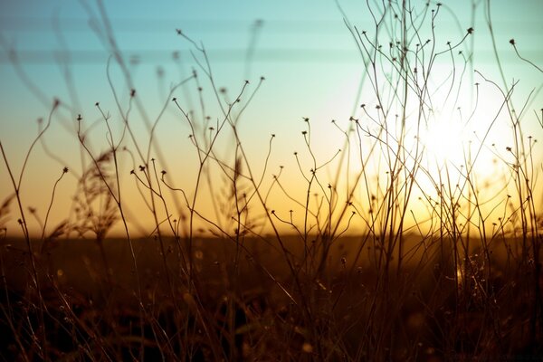 Sunset, on a field with grass