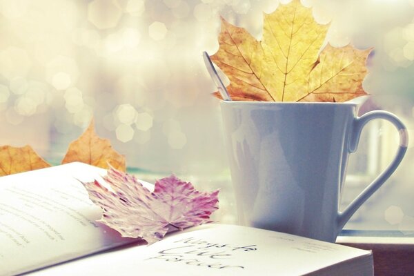 A book with maple leaves and a mug on the window