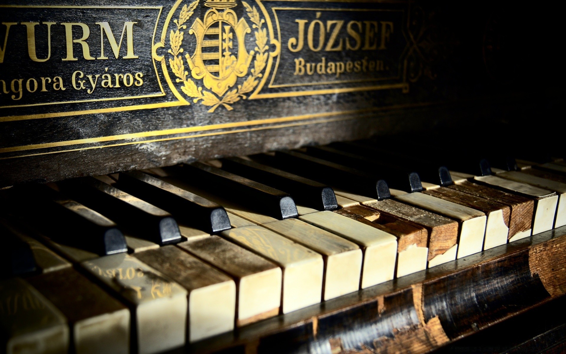 vintage piano cat instrument muzyczny dźwięk heban stary antyczny klasyczny syntezator klawiatura muzyk koncert jazz harmonia klucz piosenka rytm akord