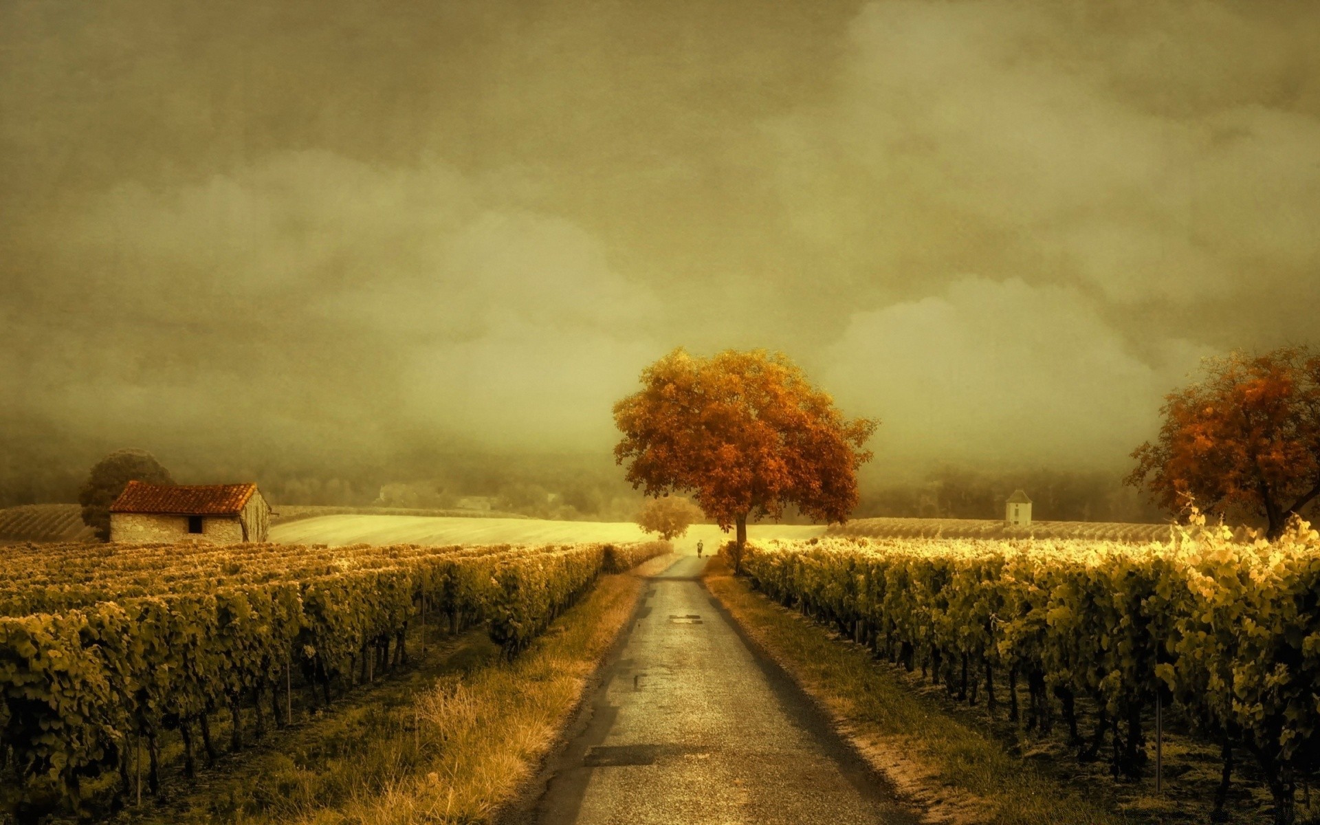 jahrgang landschaft sonnenuntergang dämmerung sturm herbst im freien landwirtschaft nebel landschaft baum nebel himmel bauernhof regen natur bebautes land wetter abend ländlichen