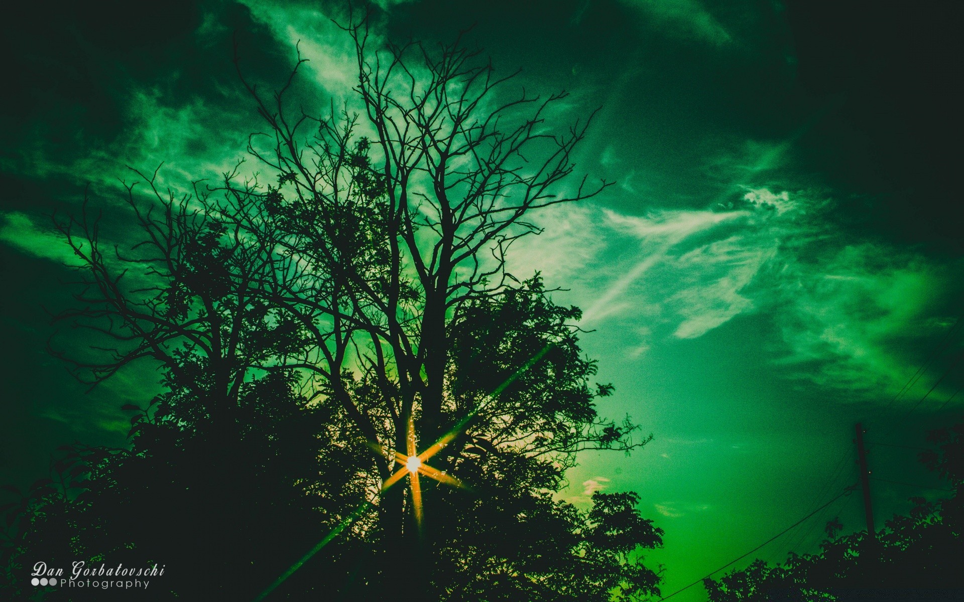 vintage naturaleza al aire libre oscuro buen tiempo hoja sol bajo el agua brillante luz